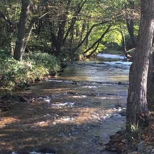 Meet your Posher, Rance